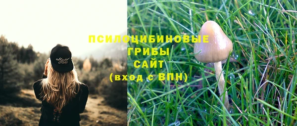 MESCALINE Горно-Алтайск