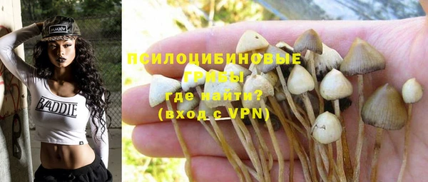 каннабис Горнозаводск