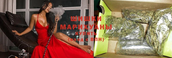 МДПВ Горняк