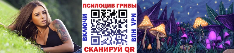 Галлюциногенные грибы GOLDEN TEACHER Воскресенск