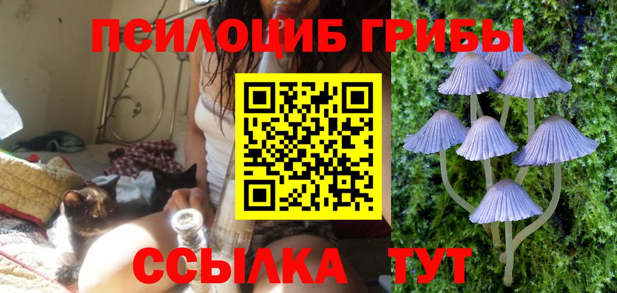 Псилоцибиновые грибы GOLDEN TEACHER  наркошоп  Воскресенск  Вход с VPN 