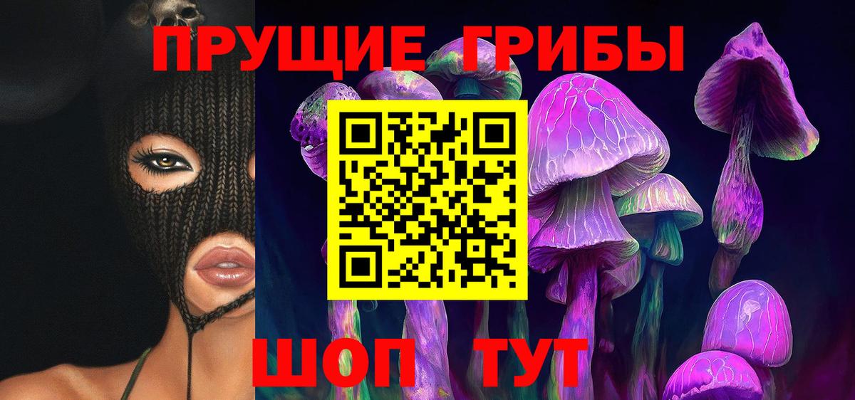 Псилоцибиновые грибы Psilocybe Воскресенск