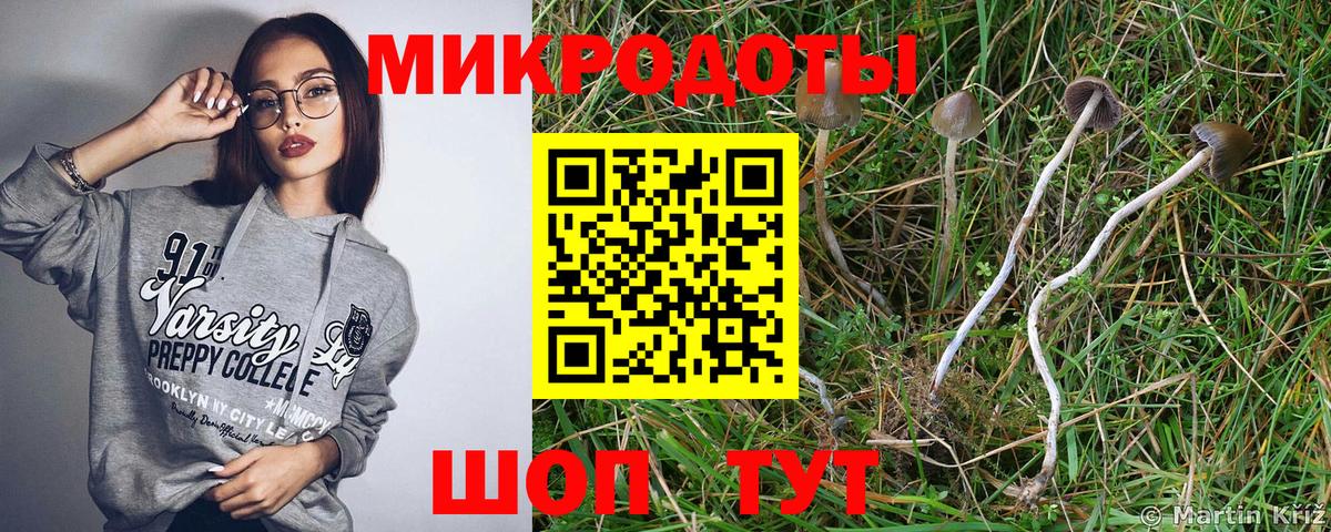 Галлюциногенные грибы мицелий  Воскресенск 